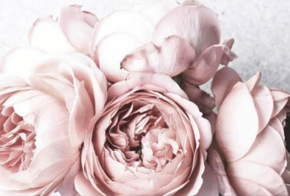 fb background